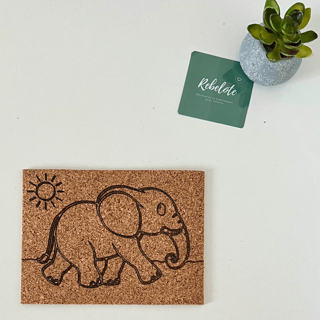 Kit Animaux de la Savane