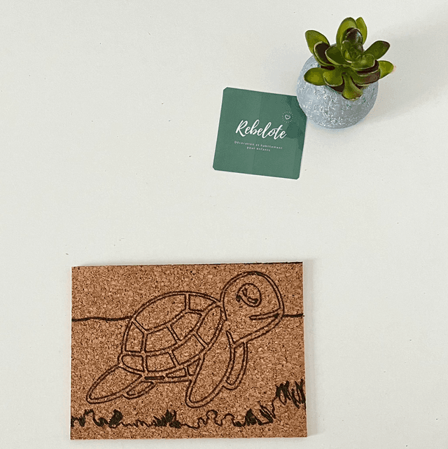 Tortue